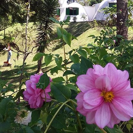 Pousada Igloo Campos do Jordão 外观 照片